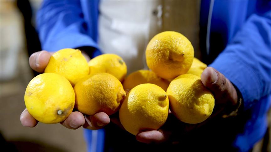 Fiyatlar limondan daha ekşi