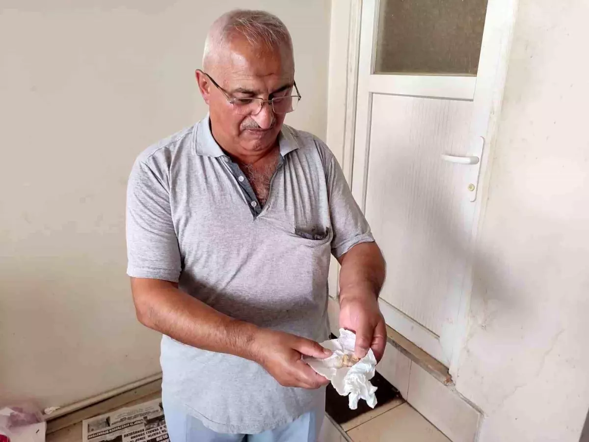 Ekmekten Vida Çıktı! Vatandaş Az Kalsın Dişini Kaybediyordu