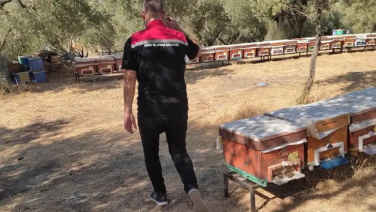 Tire’de arılı kovanlara kayıt çalışması