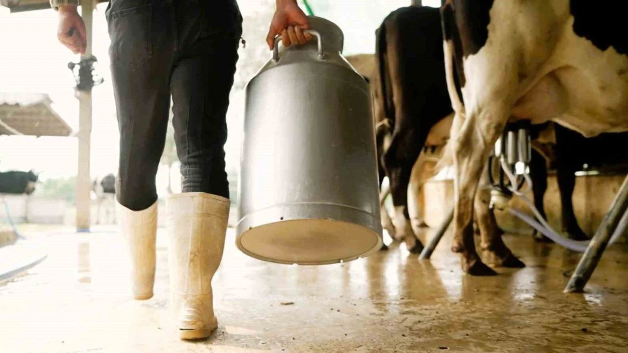 Çiğ Sütte Üretici Dar Boğazda!