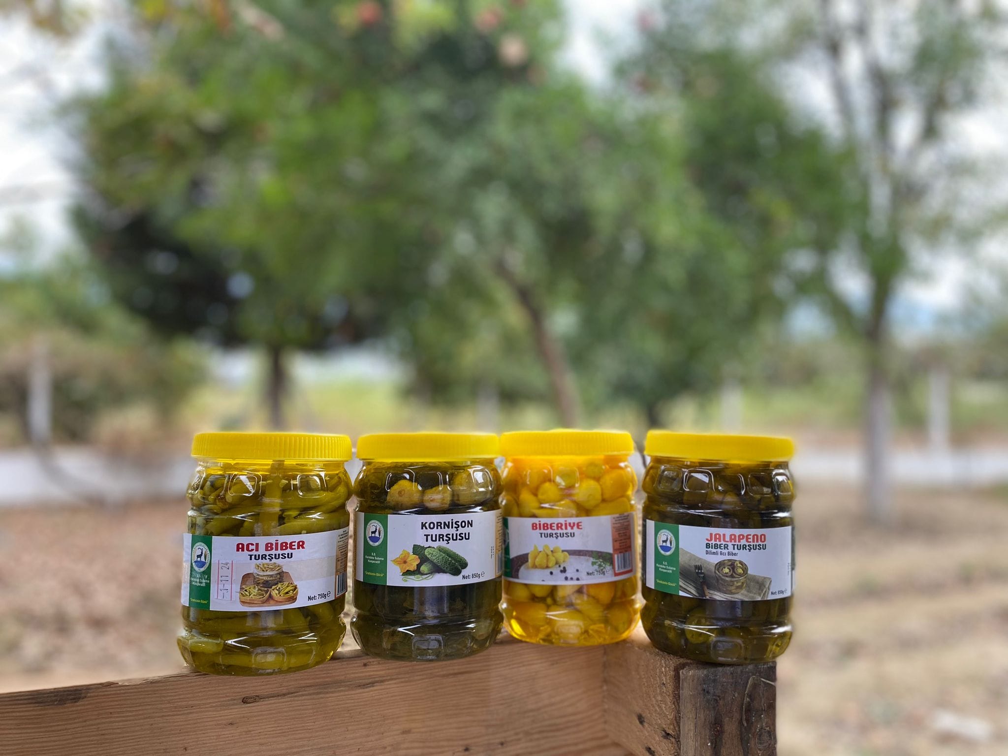 S.S. Karateke Mahallesi Sulama Kooperatifi’ne Türkiye’de Birincilik Unvanı