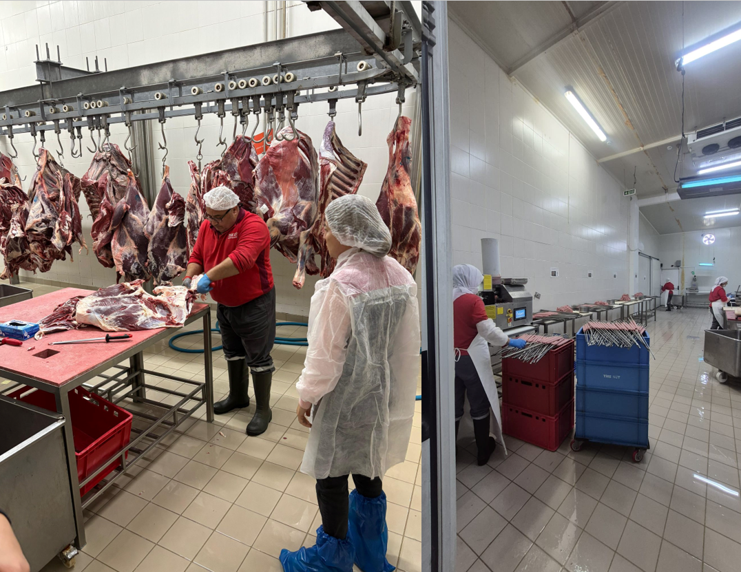 Tire’de Et İşleme Tesislerinde Gıda Güvenliği Denetimi Gerçekleştirildi