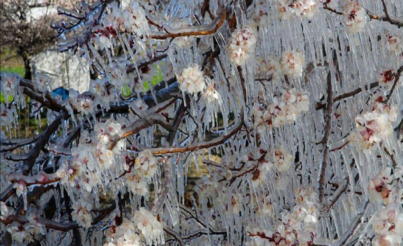 Tireliler dikkat: AKOM’dan ‘zirai don’ uyarısı!