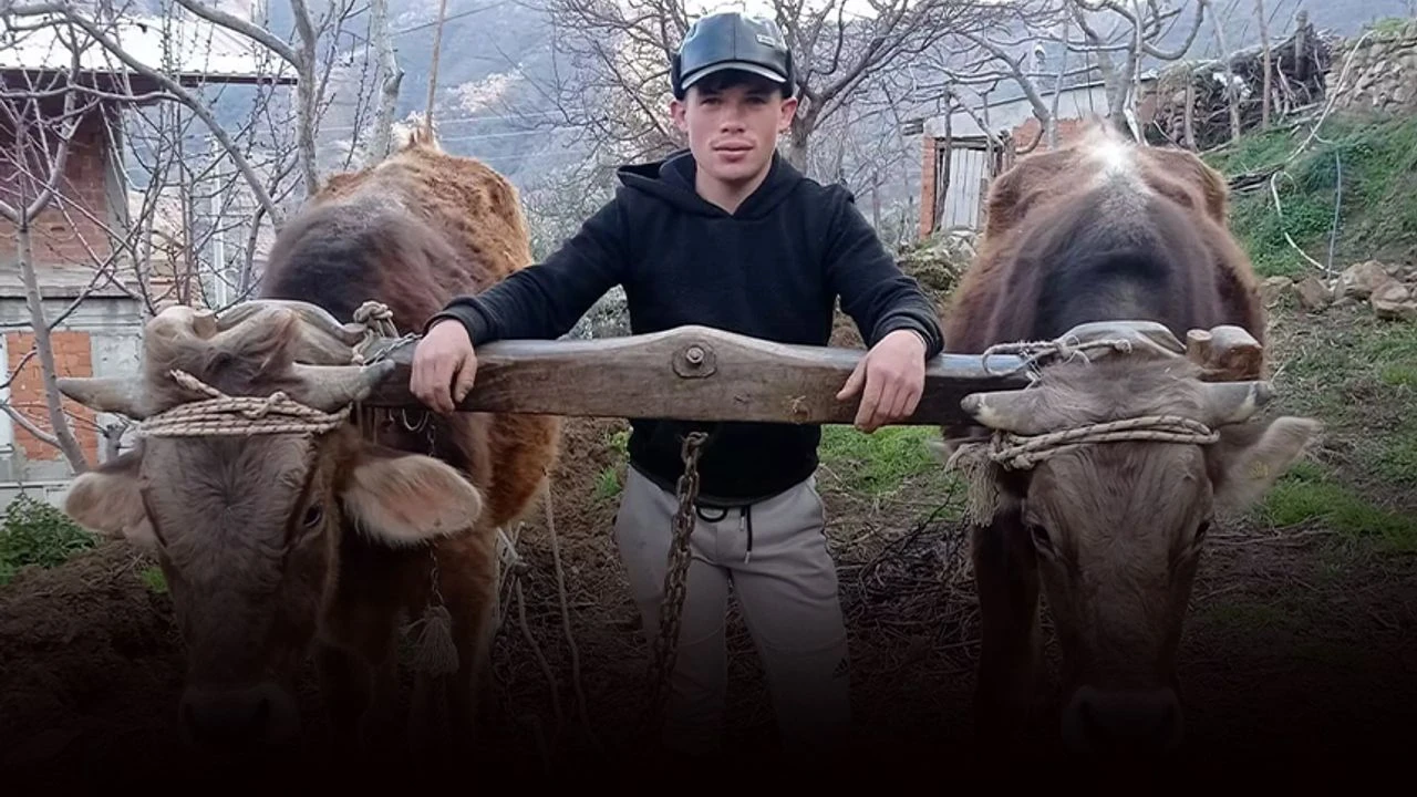 Kuzenlerin tartışmasında kan aktı: Av tüfeğiyle vurdu!